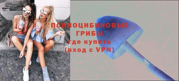 дживик Гусиноозёрск
