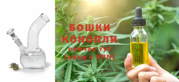 дживик Гусиноозёрск