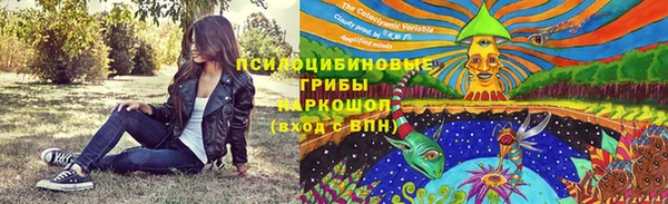 марки nbome Гусев