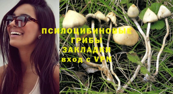 дживик Гусиноозёрск