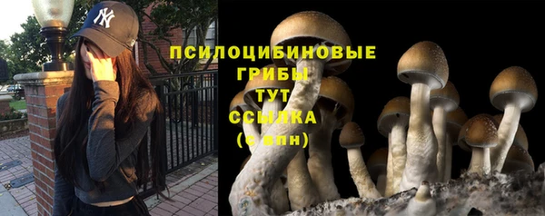 марки nbome Гусев